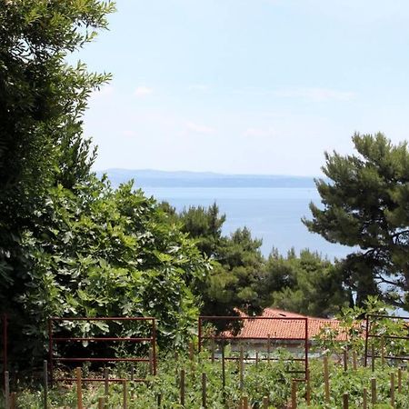 Apartman Buki **** Spalato Esterno foto